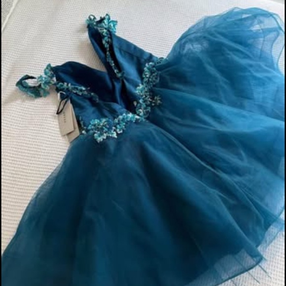Elegant Blue Tulle Dress with Floral Accents - Picture 1 of 9